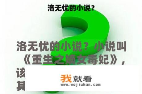 洛无忧的小说？