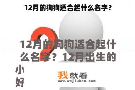 12月的狗狗适合起什么名字？