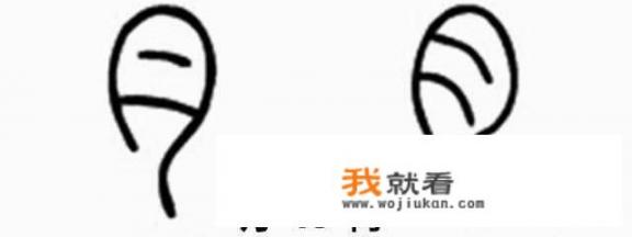 带“月字旁”的字通常与什么有关？