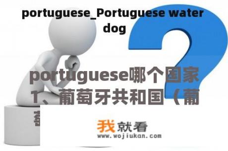 portuguese_Portuguese water dog