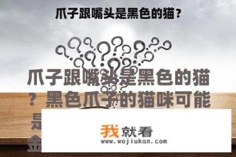 爪子跟嘴头是黑色的猫？