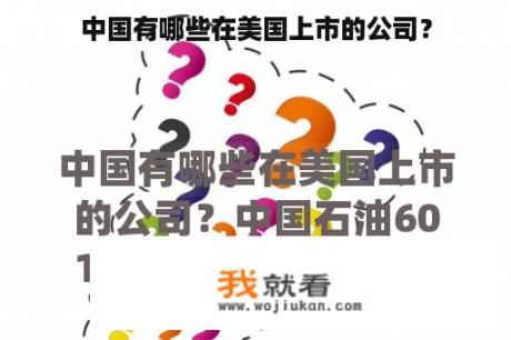 中国有哪些在美国上市的公司？