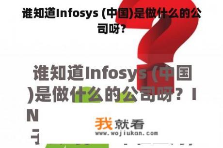 谁知道Infosys (中国)是做什么的公司呀？