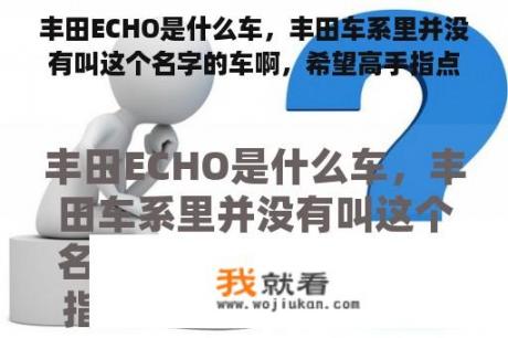 丰田ECHO是什么车，丰田车系里并没有叫这个名字的车啊，希望高手指点？