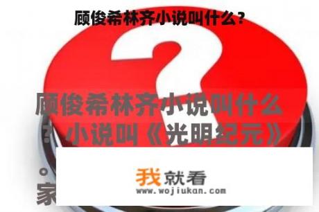 顾俊希林齐小说叫什么？