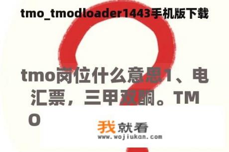 tmo_tmodloader1443手机版下载