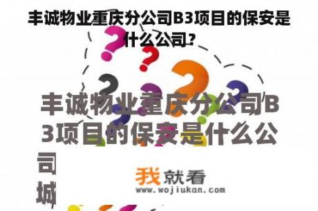 丰诚物业重庆分公司B3项目的保安是什么公司？