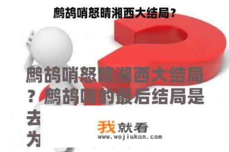 鹧鸪哨怒晴湘西大结局？
