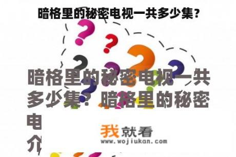 暗格里的秘密电视一共多少集？