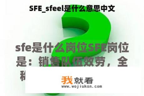 SFE_sfeel是什么意思中文