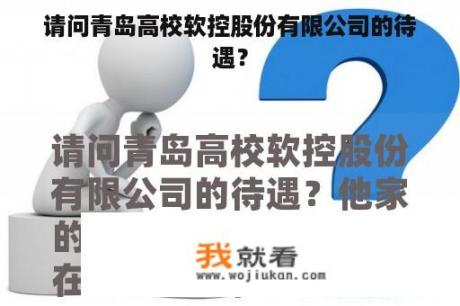 请问青岛高校软控股份有限公司的待遇？