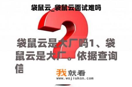 袋鼠云_袋鼠云面试难吗
