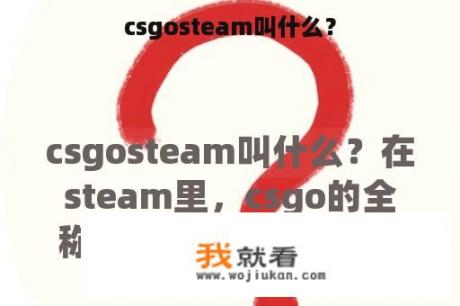 csgosteam叫什么？