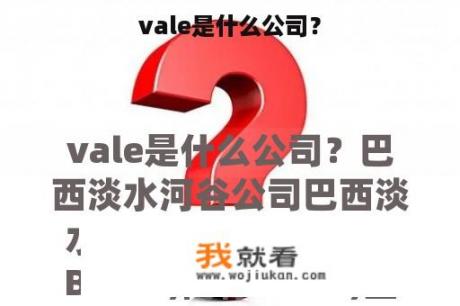 vale是什么公司？