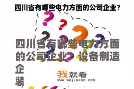 四川省有哪些电力方面的公司企业？