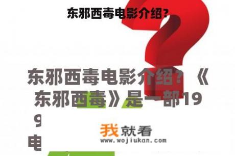 东邪西毒电影介绍？
