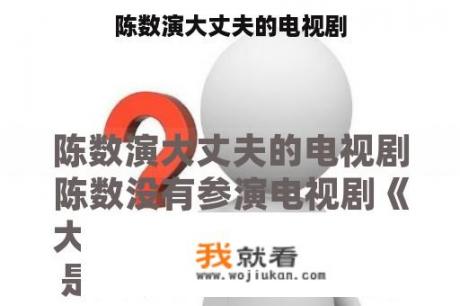 陈数演大丈夫的电视剧