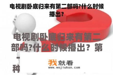 电视剧卧底归来有第二部吗?什么时候播出？