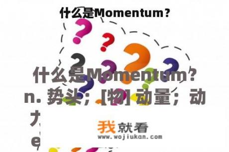 什么是Momentum？