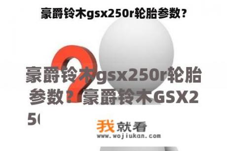 豪爵铃木gsx250r轮胎参数？