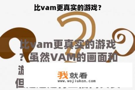 比vam更真实的游戏？