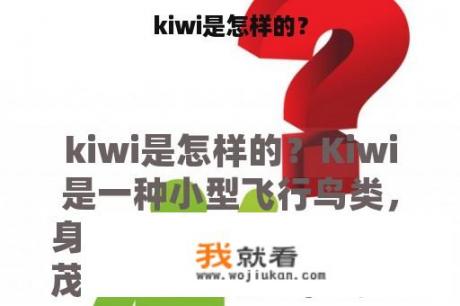 kiwi是怎样的？