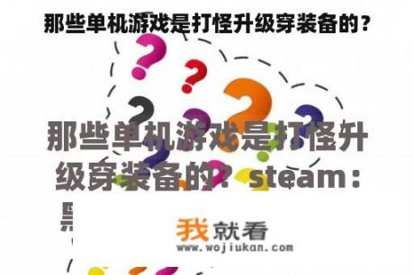 那些单机游戏是打怪升级穿装备的？