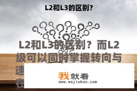 L2和L3的区别？