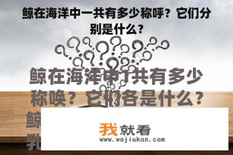 鲸在海洋中一共有多少称呼？它们分别是什么？