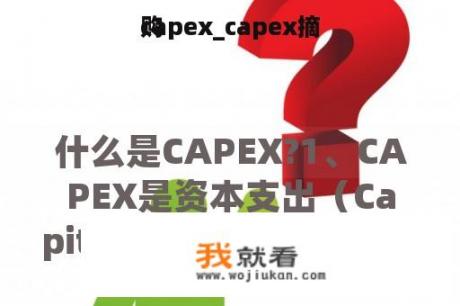 capex_capex摘
购