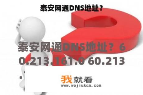 泰安网通DNS地址？