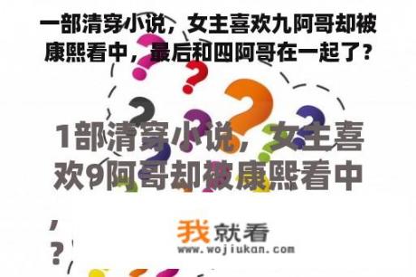 一部清穿小说，女主喜欢九阿哥却被康熙看中，最后和四阿哥在一起了？