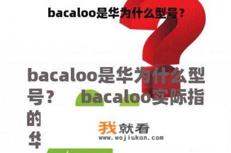 bacaloo是华为什么型号？