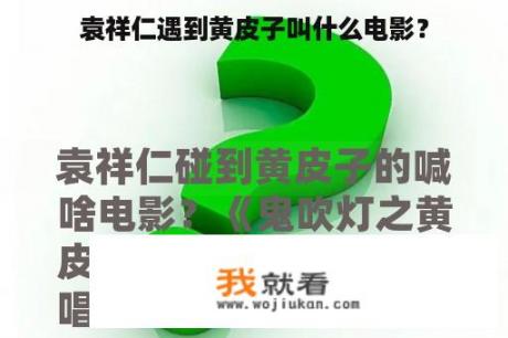 袁祥仁遇到黄皮子叫什么电影？