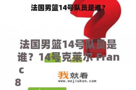 法国男篮14号队员是谁？