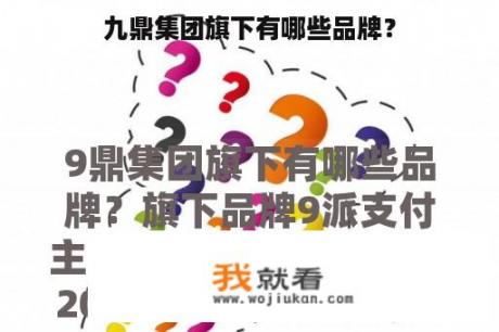 九鼎集团旗下有哪些品牌？
