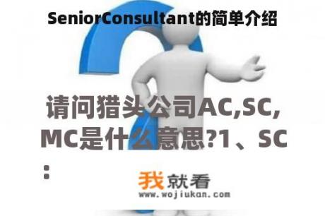 SeniorConsultant的简单介绍