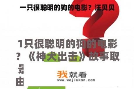 一只很聪明的狗的电影？汪贝贝