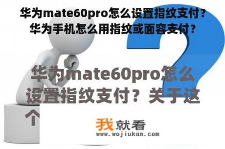 华为mate60pro怎么设置指纹支付？华为手机怎么用指纹或面容支付？