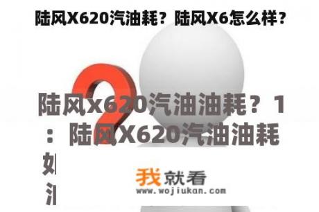 陆风X620汽油耗？陆风X6怎么样？