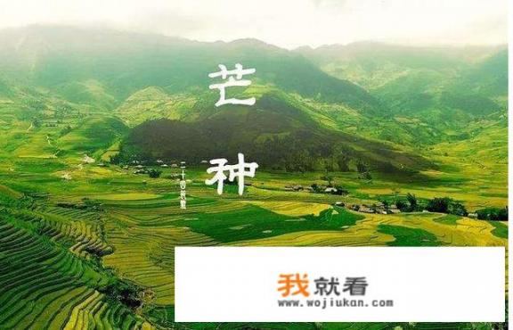 芒种代表着什么意思？芒种是什么意思？