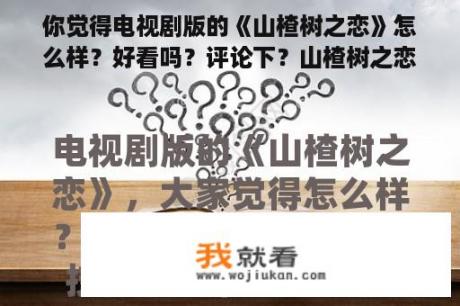 你觉得电视剧版的《山楂树之恋》怎么样？好看吗？评论下？山楂树之恋电视剧剧透？