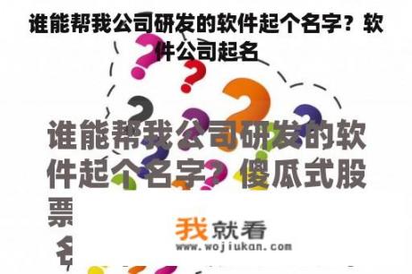 谁能帮我公司研发的软件起个名字？软件公司起名