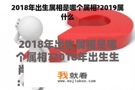 2018年出生属相是哪个属相?2019属什么