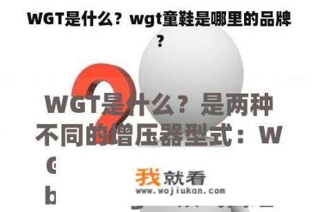 WGT是什么？wgt童鞋是哪里的品牌？