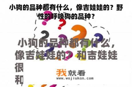 小狗的品种都有什么，像吉娃娃的？野性的呼唤狗的品种？