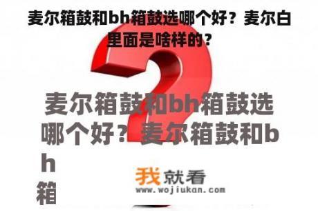 麦尔箱鼓和bh箱鼓选哪个好？麦尔白里面是啥样的？