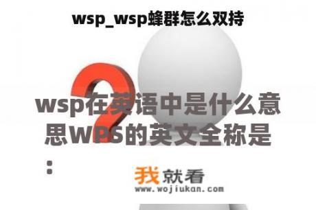 wsp_wsp蜂群怎么双持