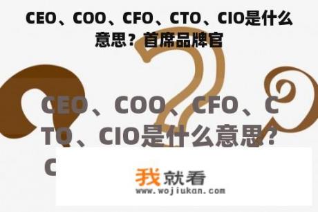 CEO、COO、CFO、CTO、CIO是什么意思？首席品牌官