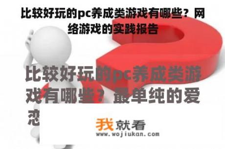 比较好玩的pc养成类游戏有哪些？网络游戏的实践报告